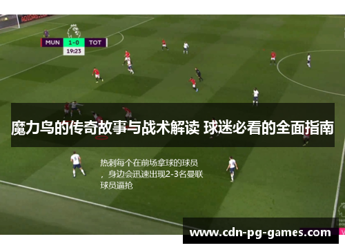 魔力鸟的传奇故事与战术解读 球迷必看的全面指南