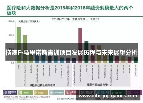 横滨F·马里诺斯青训项目发展历程与未来展望分析